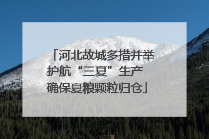 河北故城多措并举护航“三夏”生产 确保夏粮颗粒归仓
