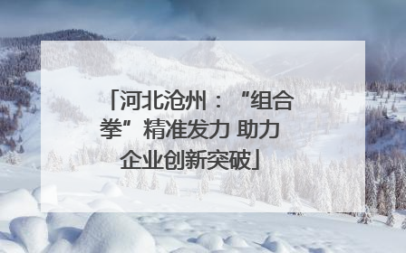 河北沧州：“组合拳”精准发力 助力企业创新突破