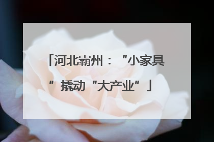 河北霸州：“小家具”撬动“大产业”