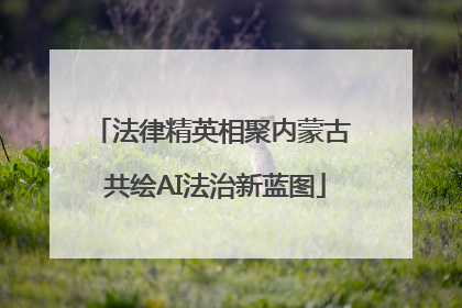 法律精英相聚内蒙古 共绘AI法治新蓝图