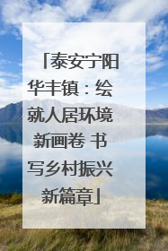 泰安宁阳华丰镇：绘就人居环境新画卷 书写乡村振兴新篇章