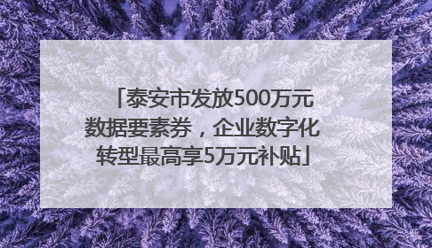 泰安市发放500万元数据要素券，企业数字化转型最高享5万元补贴