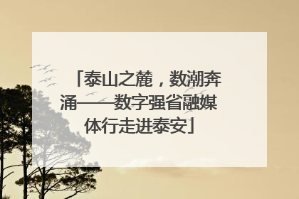 泰山之麓，数潮奔涌——数字强省融媒体行走进泰安