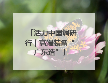 活力中国调研行｜高端装备“广东造”