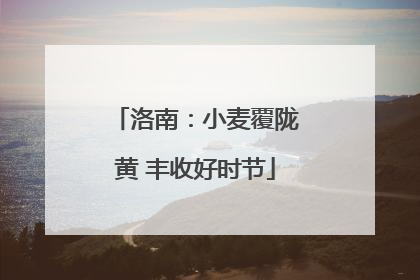 洛南：小麦覆陇黄 丰收好时节