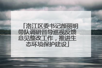 洛江区委书记颜丽明带队调研督导巡视反馈意见整改工作，推进生态环境保护建设