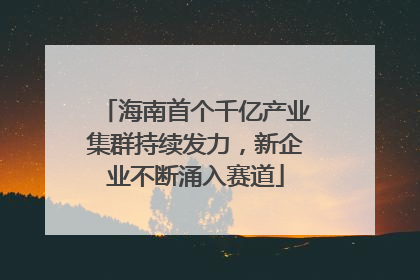 海南首个千亿产业集群持续发力，新企业不断涌入赛道