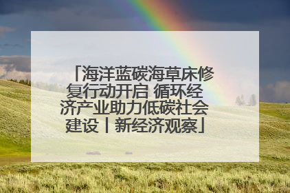 海洋蓝碳海草床修复行动开启 循环经济产业助力低碳社会建设丨新经济观察