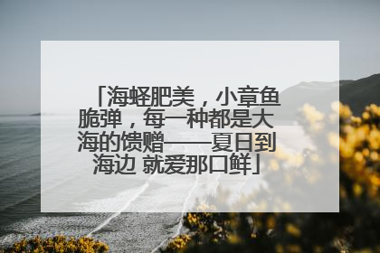 海蛏肥美，小章鱼脆弹，每一种都是大海的馈赠——夏日到海边 就爱那口鲜