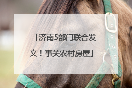 济南5部门联合发文！事关农村房屋