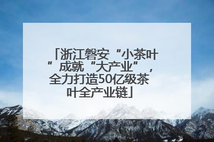 浙江磐安“小茶叶”成就“大产业”，全力打造50亿级茶叶全产业链