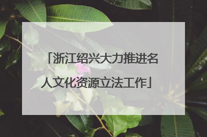 浙江绍兴大力推进名人文化资源立法工作