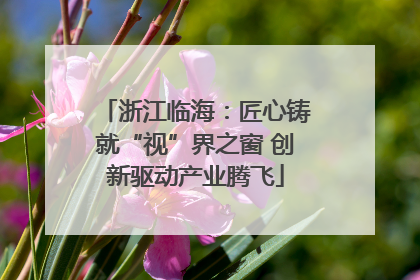 浙江临海：匠心铸就“视”界之窗 创新驱动产业腾飞