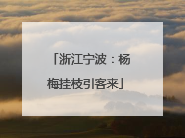 浙江宁波：杨梅挂枝引客来