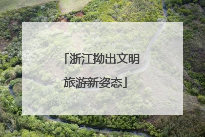 浙江拗出文明旅游新姿态
