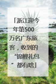 浙江迎今年第500万名广东旅客，收到的“锦鲤礼包”都有啥