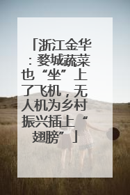 浙江金华：婺城蔬菜也“坐”上了飞机，无人机为乡村振兴插上“翅膀”