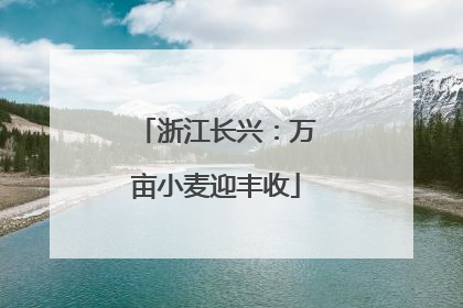 浙江长兴：万亩小麦迎丰收