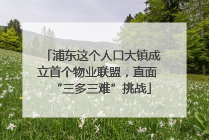 浦东这个人口大镇成立首个物业联盟，直面“三多三难”挑战