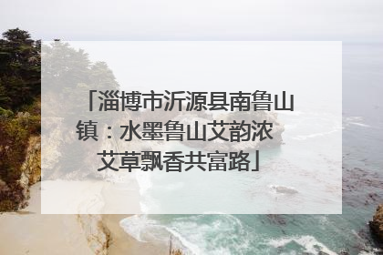 淄博市沂源县南鲁山镇：水墨鲁山艾韵浓 艾草飘香共富路