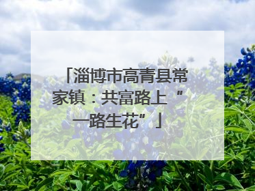 淄博市高青县常家镇：共富路上“一路生花”