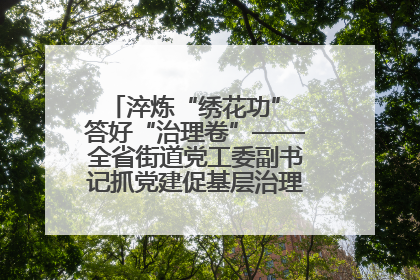 淬炼“绣花功” 答好“治理卷”——全省街道党工委副书记抓党建促基层治理培训示范班侧记
