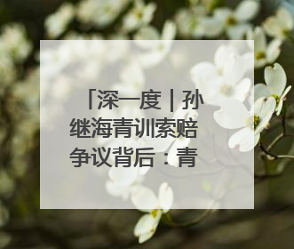 深一度｜孙继海青训索赔争议背后：青训不容易，赔偿可仲裁