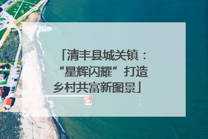 清丰县城关镇：“星辉闪耀”打造乡村共富新图景