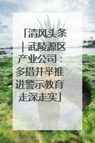清风头条｜武陵源区产业公司：多措并举推进警示教育走深走实