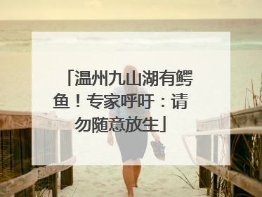 温州九山湖有鳄鱼！专家呼吁：请勿随意放生