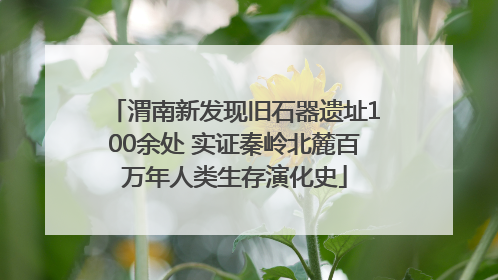 渭南新发现旧石器遗址100余处 实证秦岭北麓百万年人类生存演化史