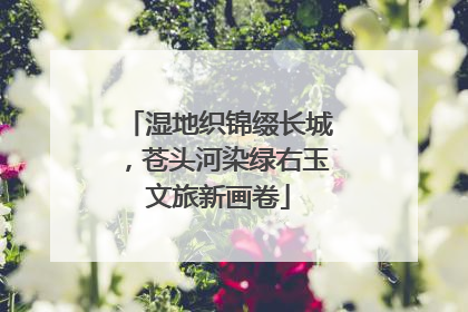 湿地织锦缀长城，苍头河染绿右玉文旅新画卷