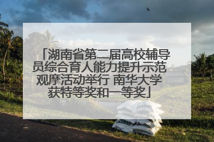湖南省第二届高校辅导员综合育人能力提升示范观摩活动举行 南华大学获特等奖和一等奖