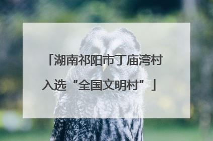 湖南祁阳市丁庙湾村入选“全国文明村”
