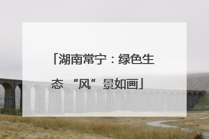 湖南常宁：绿色生态 “风”景如画