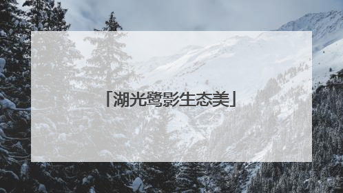 湖光鹭影生态美