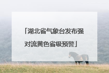 湖北省气象台发布强对流黄色省级预警