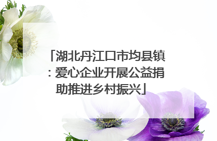 湖北丹江口市均县镇：爱心企业开展公益捐助推进乡村振兴