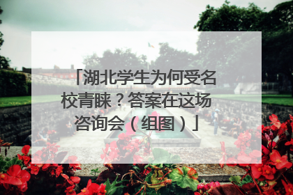 湖北学生为何受名校青睐？答案在这场咨询会（组图）
