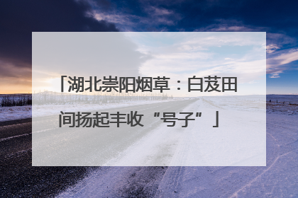 湖北崇阳烟草：白芨田间扬起丰收“号子”