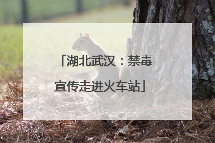 湖北武汉：禁毒宣传走进火车站
