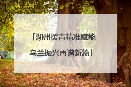 湖州援青精准赋能 乌兰振兴再谱新篇