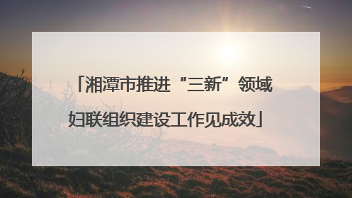 湘潭市推进“三新”领域妇联组织建设工作见成效