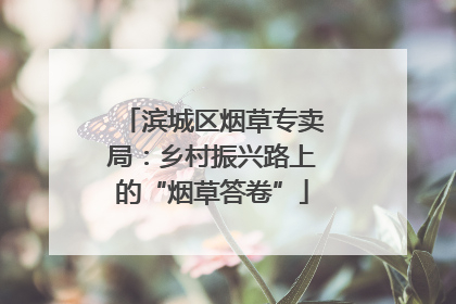 滨城区烟草专卖局：乡村振兴路上的“烟草答卷”