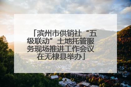 滨州市供销社“五级联动”土地托管服务现场推进工作会议在无棣县举办