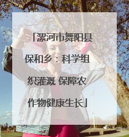 漯河市舞阳县保和乡：科学组织灌溉 保障农作物健康生长