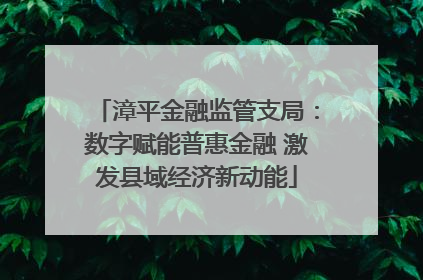 漳平金融监管支局：数字赋能普惠金融 激发县域经济新动能
