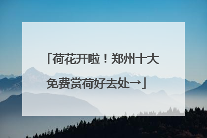 荷花开啦！郑州十大免费赏荷好去处→