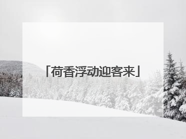 荷香浮动迎客来