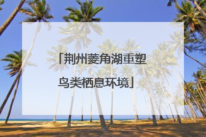 荆州菱角湖重塑鸟类栖息环境